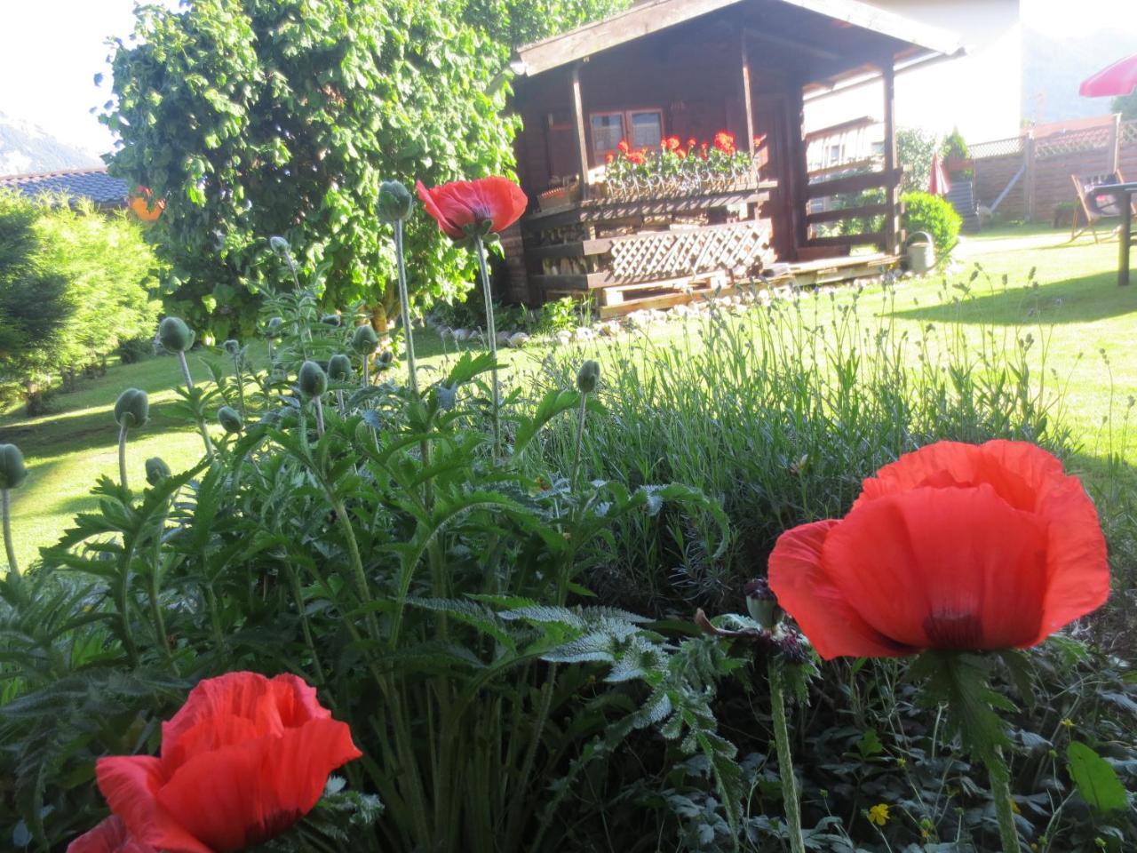 Hotel Alp Inn - Chiemgaukarte Inclusive โรพอลดิง ภายนอก รูปภาพ