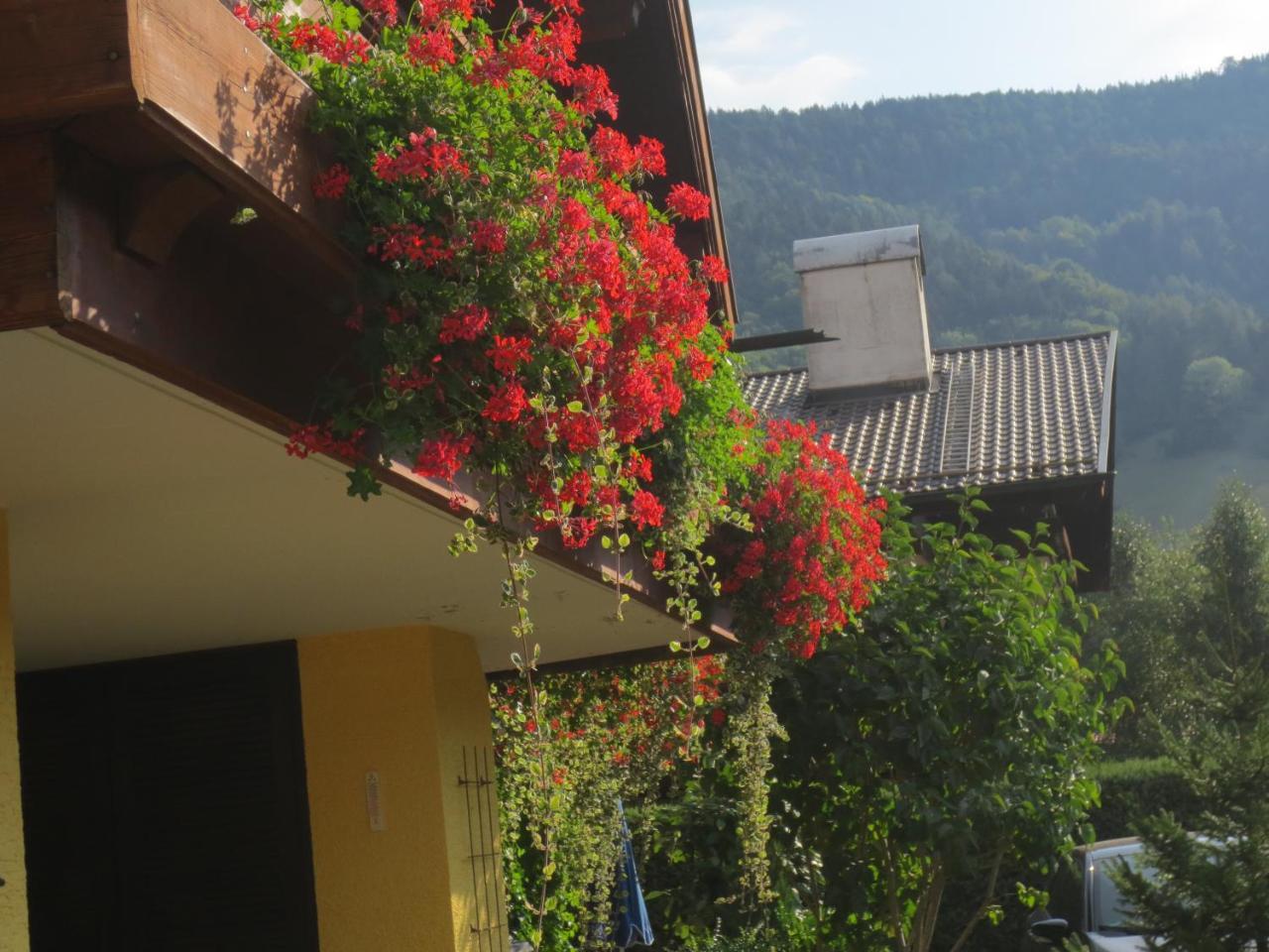 Hotel Alp Inn - Chiemgaukarte Inclusive โรพอลดิง ภายนอก รูปภาพ
